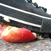  : Gallery : collection : 2006 : 08 : i135_76.jpg