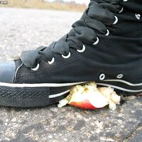  : Gallery : collection : 2006 : 08 : i135_77.jpg