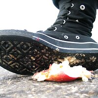  : Gallery : collection : 2006 : 08 : i135_78.jpg