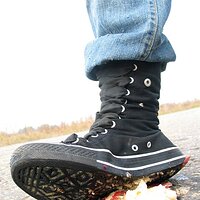  : Gallery : collection : 2006 : 08 : i135_79.jpg