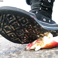  : Gallery : collection : 2006 : 08 : i135_80.jpg