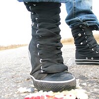  : Gallery : collection : 2006 : 08 : i135_81.jpg