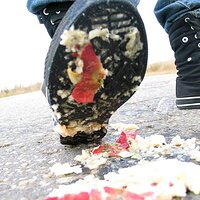  : Gallery : collection : 2006 : 08 : i135_82.jpg