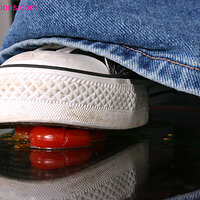  : Gallery : collection : 2008 : 02 : crush2467.jpeg