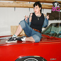  : Gallery : collection : 2008 : 03 : 03_2.jpg