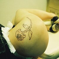  : Gallery : collection : 2008 : 03 : 486680.jpg