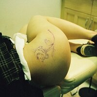  : Gallery : collection : 2008 : 03 : 486681.jpg