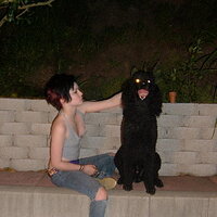  : Gallery : collection : 2008 : 03 : 618499.jpg