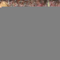  : Gallery : collection : 2008 : 05 : RedKeds148.jpg