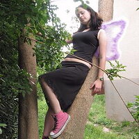  : Gallery : collection : 2008 : 06 : 277417.jpg