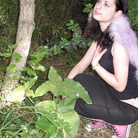  : Gallery : collection : 2008 : 06 : 277424.jpg