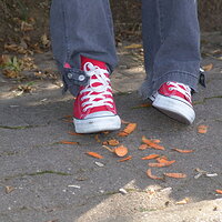  : Gallery : collection : 2008 : 06 : dsc04001.jpg