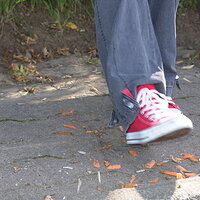  : Gallery : collection : 2008 : 06 : dsc04002.jpg