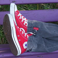  : Gallery : collection : 2008 : 06 : dsc04017.jpg