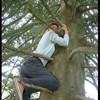  : Gallery : collection : 2008 : 07 : 698658.jpg