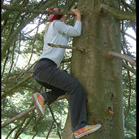  : Gallery : collection : 2008 : 07 : 698660.jpg