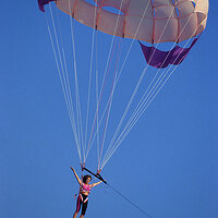  : Gallery : collection : 2008 : 09 : cc90h01.jpg