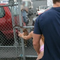  : Gallery : collection : 2008 : 11 : Felony_1070.jpg