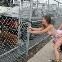  : Gallery : collection : 2008 : 11 : Felony_1073.jpg