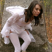  : Gallery : collection : 2008 : 11 : ariel_14220-lg.jpg