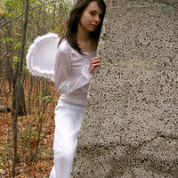  : Gallery : collection : 2008 : 11 : ariel_14223-lg.jpg