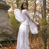  : Gallery : collection : 2008 : 11 : ariel_14253-lg.jpg