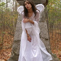  : Gallery : collection : 2008 : 11 : ariel_14286-lg.jpg