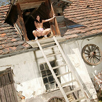  : Gallery : collection : 2009 : 03 : tery-mb379-097.jpg