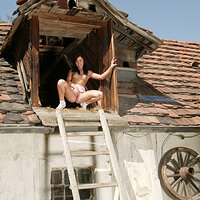  : Gallery : collection : 2009 : 03 : tery-mb379-100.jpg