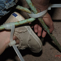  : Gallery : collection : 2009 : 05 : mei2_02_10.jpg