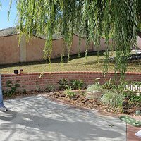  : Gallery : collection : 2011 : 02 : mel076ASI_199790006.jpg