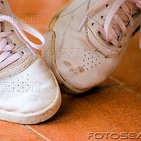  : Gallery : collection : 2011 : 05 : T32-545777.jpg