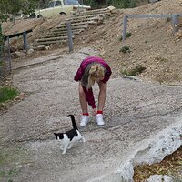  : Gallery : collection : 2015 : 06 : Felicia_KittyPlaytime_004.jpg