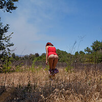  : Gallery : collection : 2015 : 10 : full_114ah37050.0_mm5965.jpg