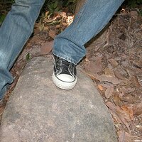  : Gallery : converse : 2004 : 31 : DSCN9154.JPG