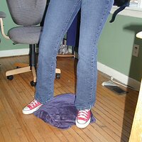  : Gallery : converse : 2005 : 17 : P2050966.JPG