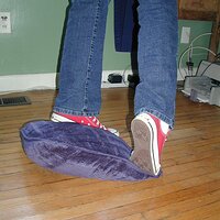  : Gallery : converse : 2005 : 17 : P2050971.JPG