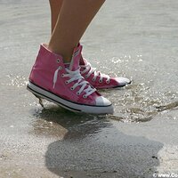  : Gallery : converse : 2005 : 29 : sp0022.jpg