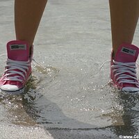  : Gallery : converse : 2005 : 29 : sp0023.jpg