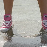  : Gallery : converse : 2005 : 29 : sp0024.jpg