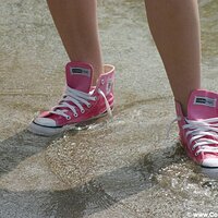  : Gallery : converse : 2005 : 29 : sp0025.jpg