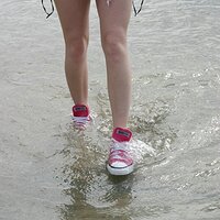  : Gallery : converse : 2005 : 29 : sp0043.jpg