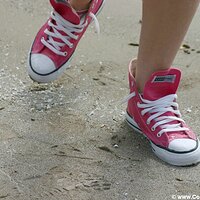  : Gallery : converse : 2005 : 29 : sp1724.jpg
