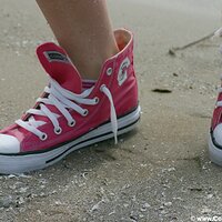  : Gallery : converse : 2005 : 29 : sp1726.jpg