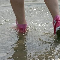  : Gallery : converse : 2005 : 29 : sp1735.jpg