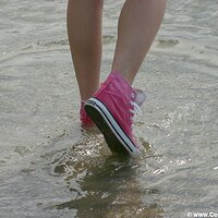  : Gallery : converse : 2005 : 29 : sp1736.jpg
