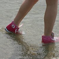  : Gallery : converse : 2005 : 29 : sp1737.jpg