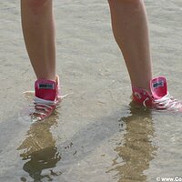  : Gallery : converse : 2005 : 29 : sp1738.jpg