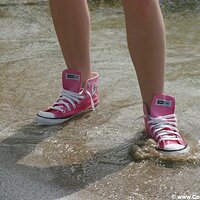  : Gallery : converse : 2005 : 29 : sp1747.jpg