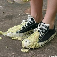  : Gallery : converse : 2005 : 37 : IMG_2790.JPG